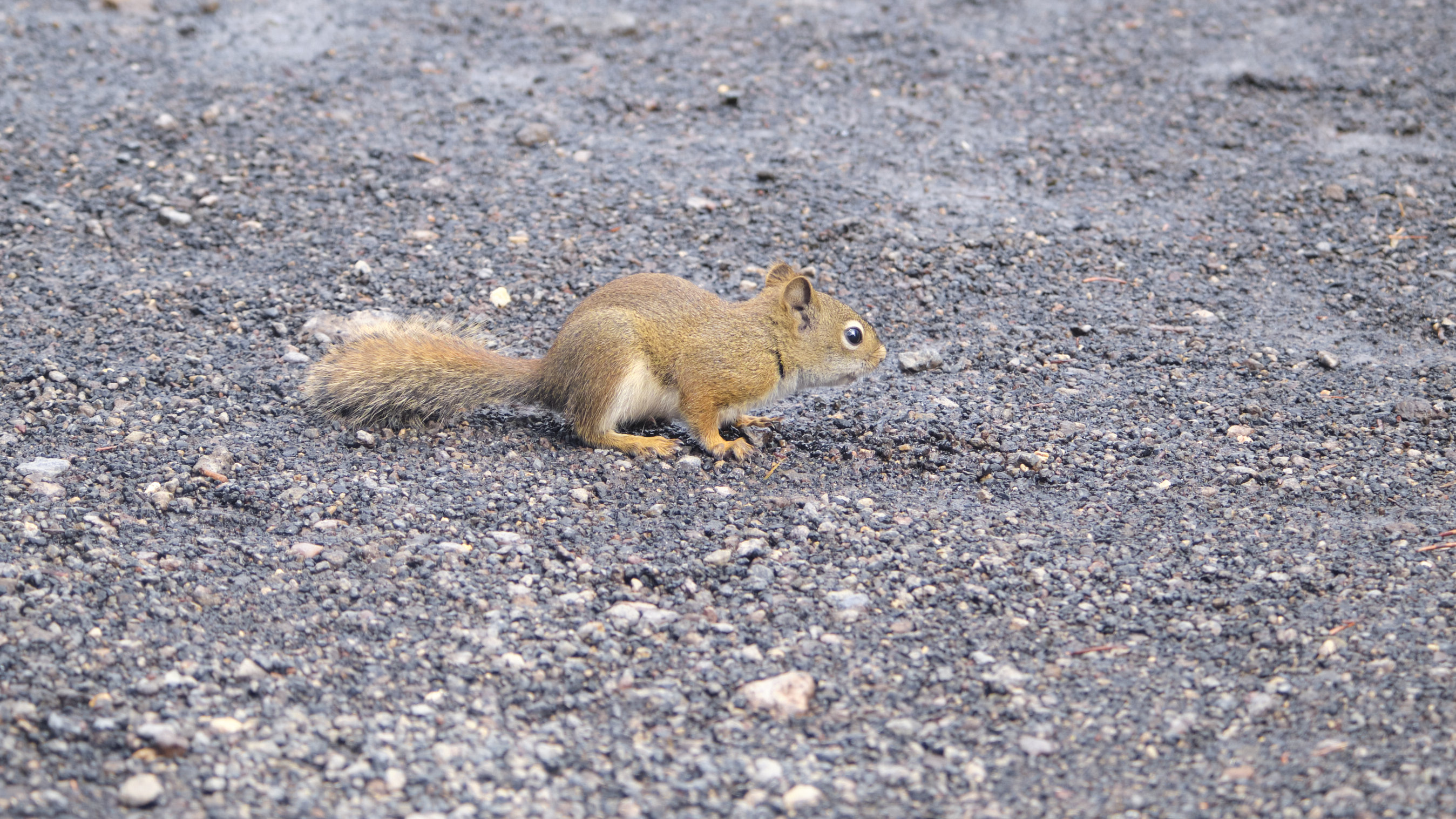 DSCF5055.jpg
