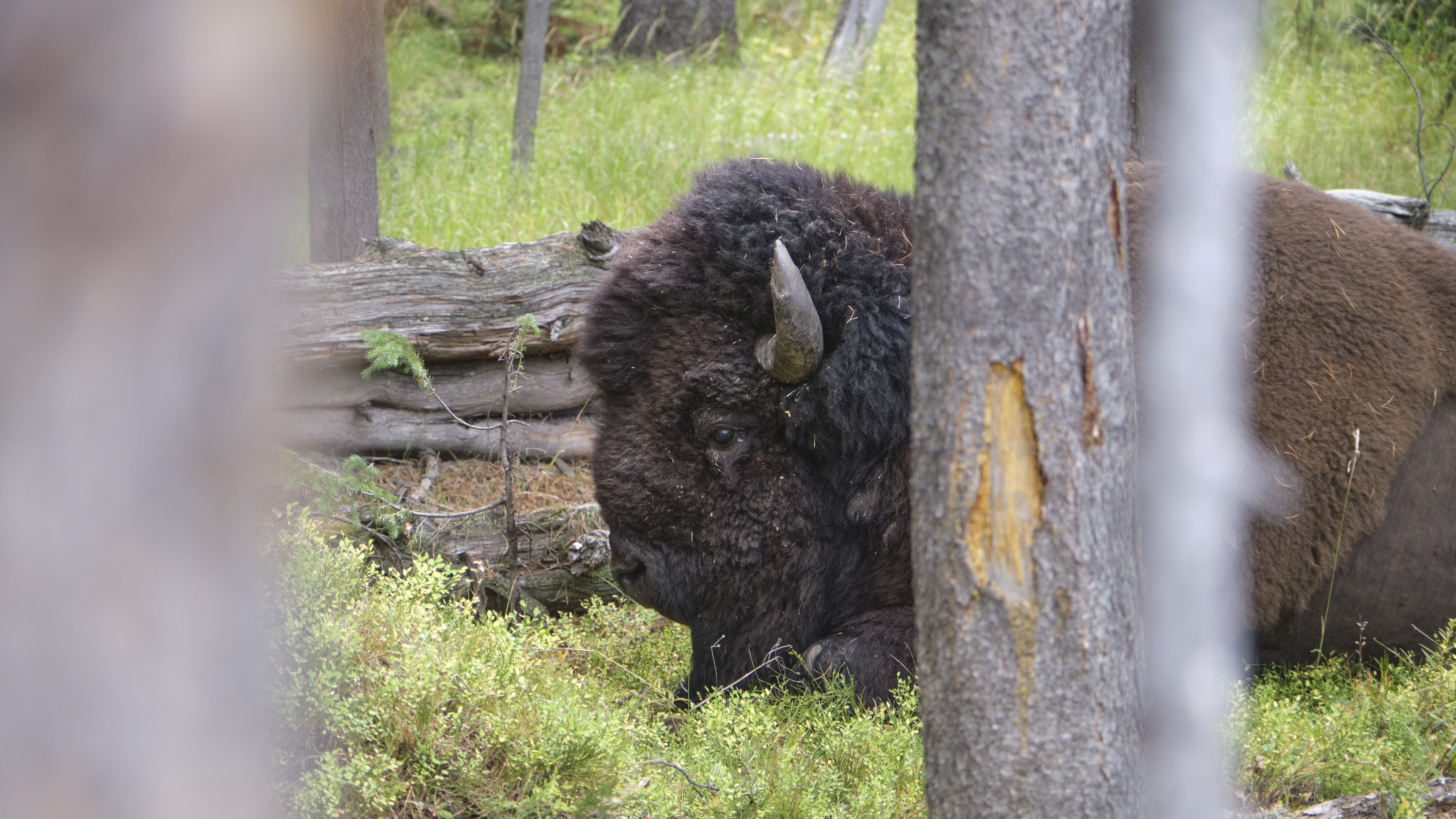DSCF5140.jpg