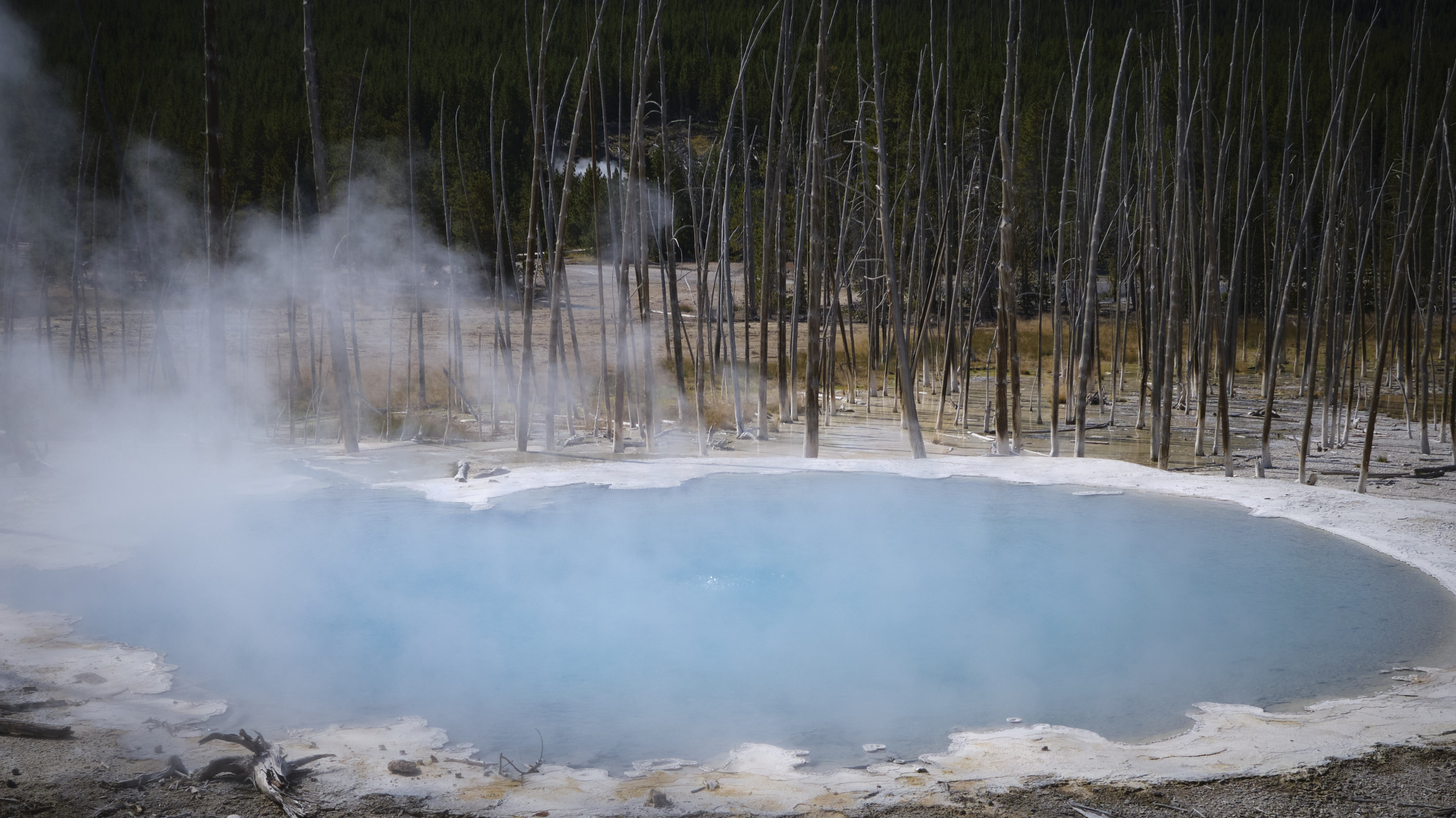 DSCF4957.jpg