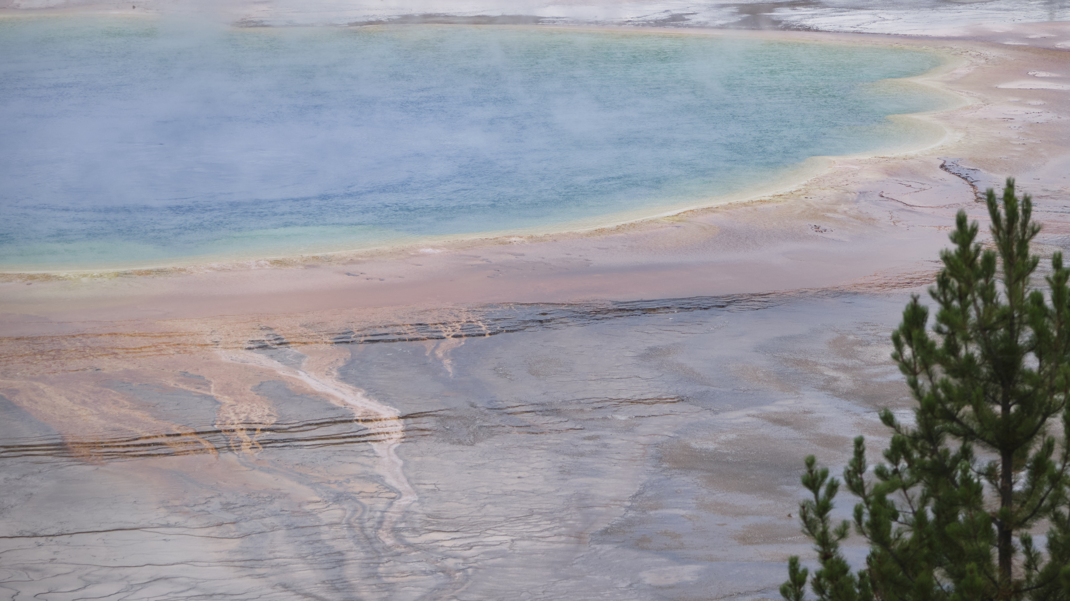 DSCF5061.jpg