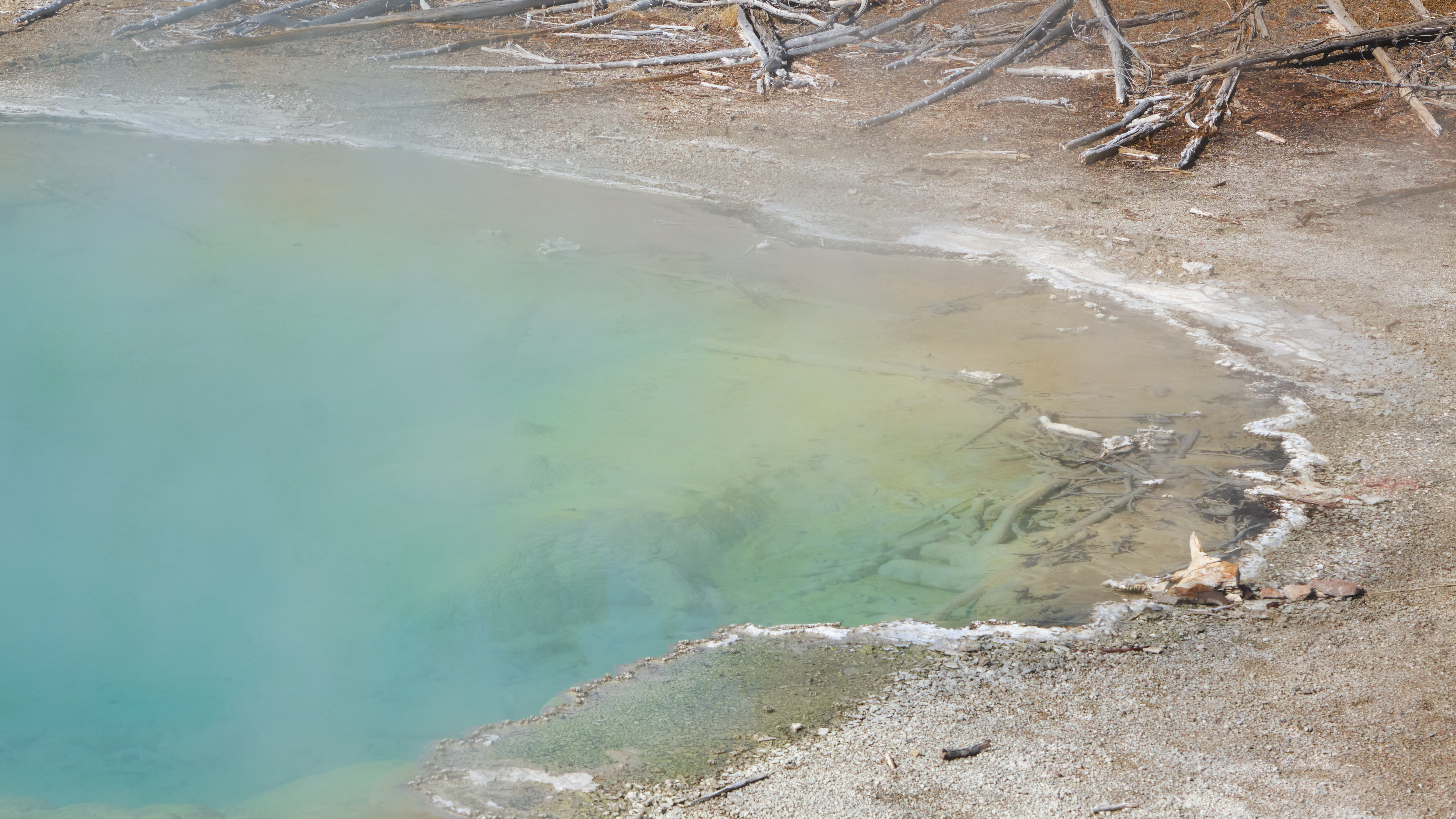 DSCF4956.jpg